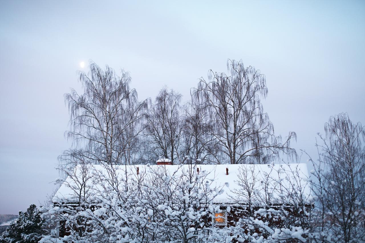 Helsingegarden Hostel Jarvso Luaran gambar