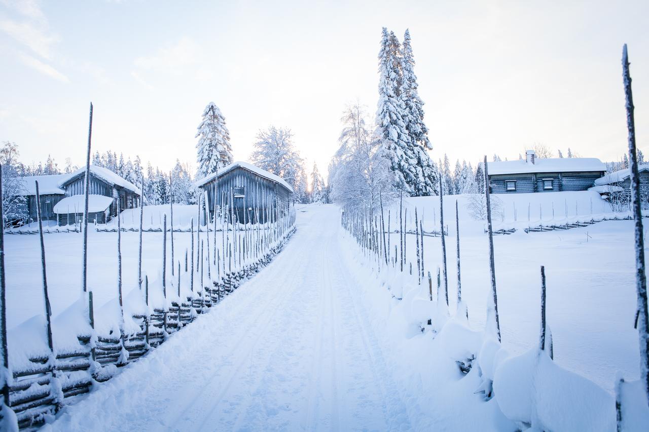 Helsingegarden Hostel Jarvso Luaran gambar