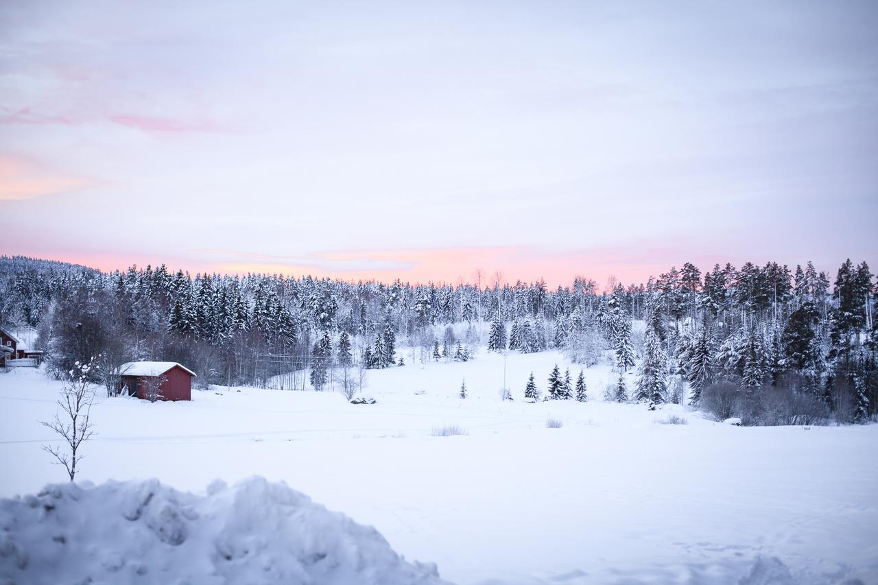 Helsingegarden Hostel Jarvso Luaran gambar