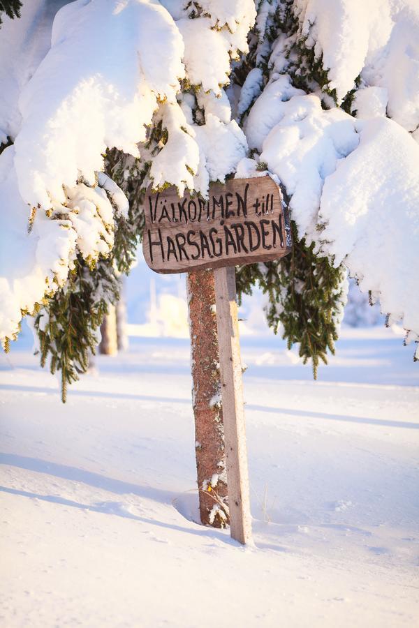 Helsingegarden Hostel Jarvso Luaran gambar